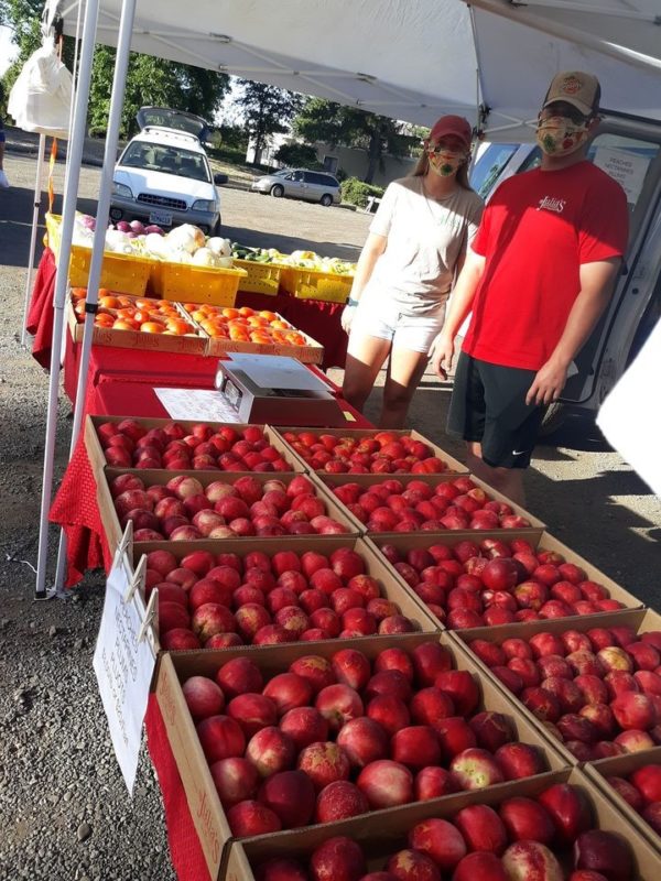 Apples -Envy  Shasta Produce